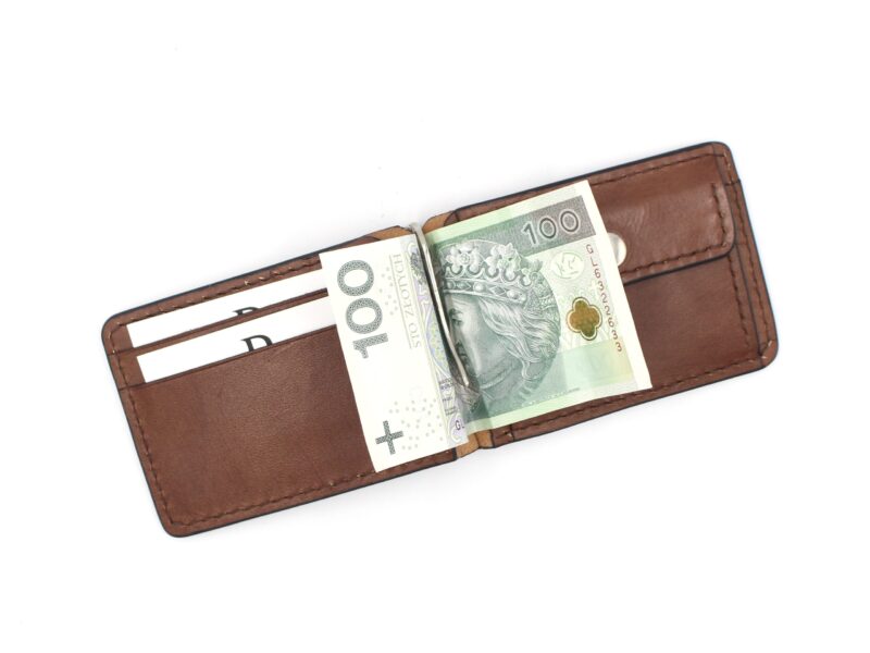 portfel-z-klipsem-spring-money-v1-22.jpg portfel-z-klipsem-spring-money-v1-22.jpg